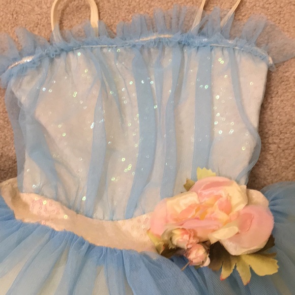Ballet Spring Recital Costume - Picture 7 of 11